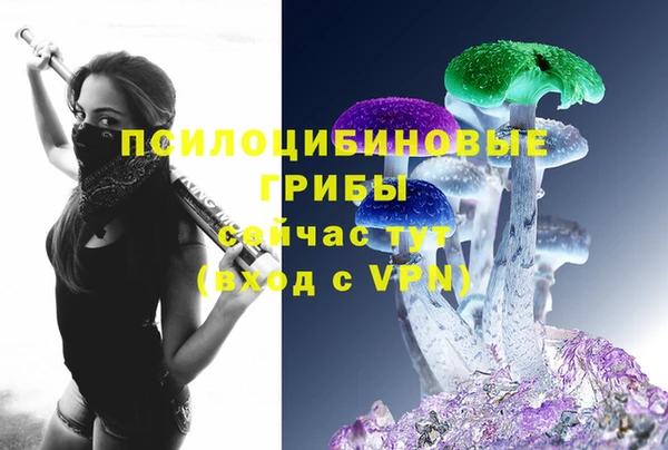 ешки Белокуриха