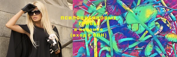 МДПВ Дмитриев