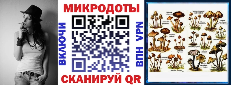 Псилоцибиновые грибы MAGIC MUSHROOMS  Ершов 