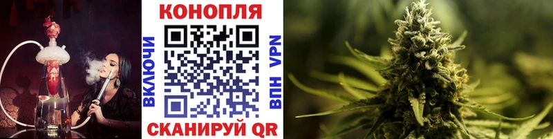 blacksprut вход  Ершов  Шишки марихуана план  закладки 